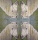 091 Horses - 4-ply - Sniff Handkerchief
